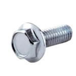 Hexagon Flange Bolts